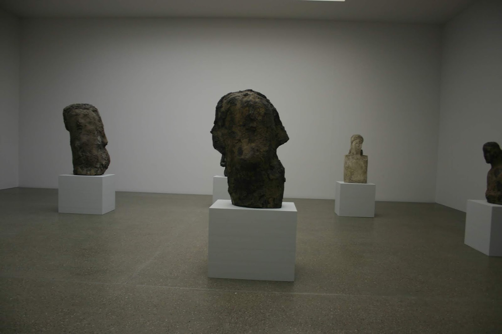 Die Larve Die Plastik Frisst Eine Losung Fur Unsere Mullberge