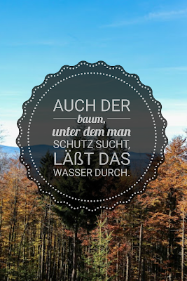 Die 50 besten Zitate zu den Themen Wald und Bäume | Waldzitate | Baumzitate | Naturzitate | Zitate-Wald | Inspirierende-Zitate