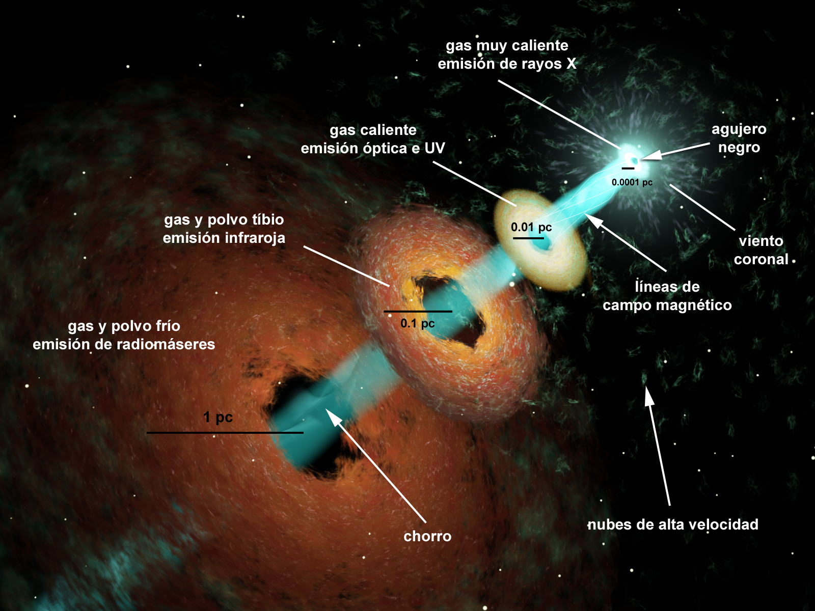 Tapas de Ciencia Obtenida la imagen