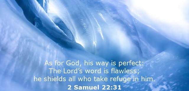  As for God, his way is perfect: The Lord’s word is flawless; he shields all who take refuge in him. 