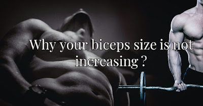 Grow biceps size