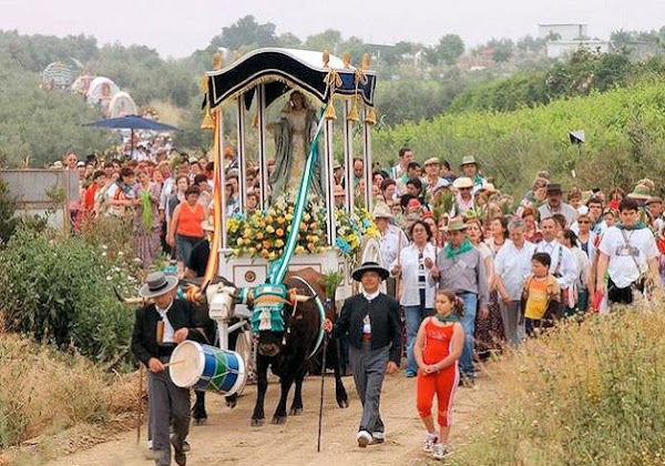 Suspensión de la Romería Virgen de las Viñas 2020 en Montilla Suspensión de la Romería Virgen de las Viñas 2020 en Montilla