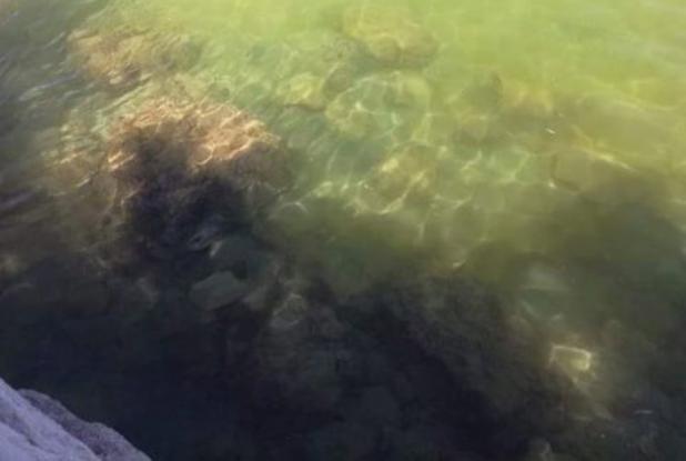 Απίστευτα πράγματα στο Μαράθι: Το νερό της θάλασσας έγινε... πράσινο 