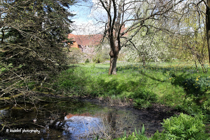 весеннее настроение весеннее настроение