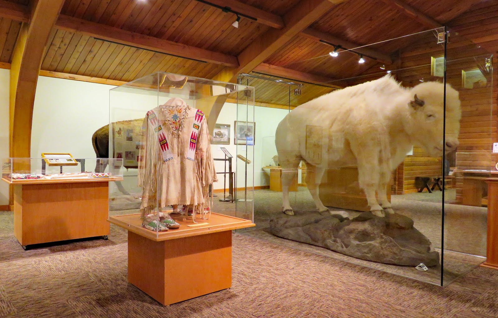 Rolling in an RV Wheelchair Traveling...... National Buffalo Museum