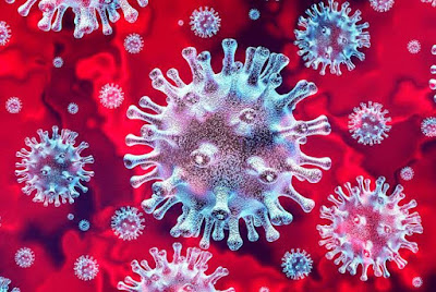 O vírus da covid-19 visto a partir da lente do microscópio. Ele tem o formato ou perfil de uma coroa, daí vem esse nome de coronavírus. É pertencente à família do coronavírus da síndrome respiratória aguda grave 2 (SARS-CoV-2)