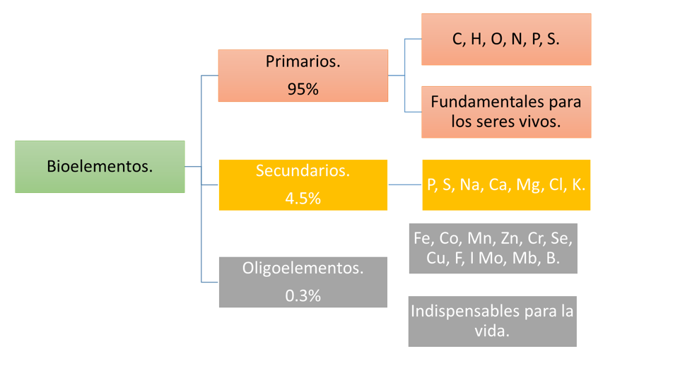 Blog de la vida (BIOLOGIA): Bioelementos y Biomoléculas.