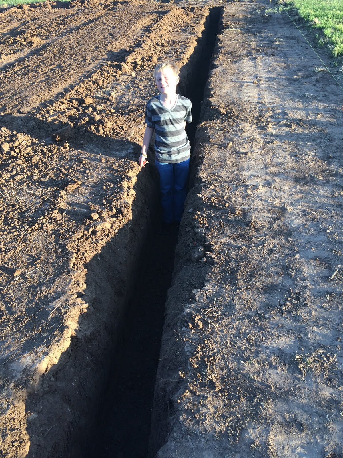 Every Day's a Holly Day