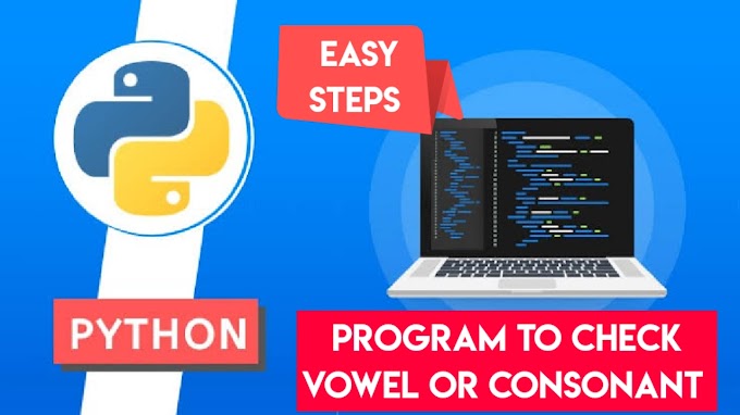 Python Program to Check Vowel or Consonant-Python Programs