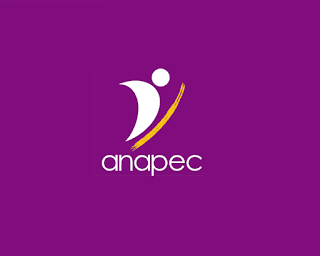 Exemple Concours de Recrutement des Conseillers en Emploi 2018 - ANAPEC