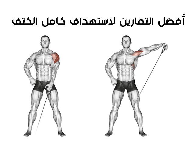 تمرينة كتف كاملة