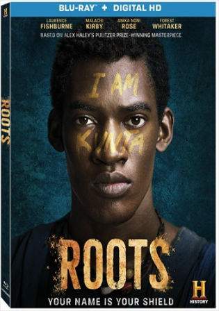 Roots Part 4 (2016) BRRip 700MB Hindi Dual Audio 720p