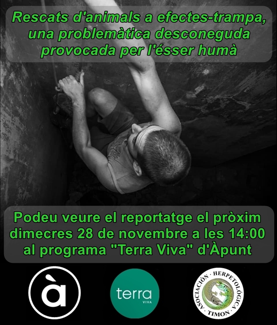 https://1.bp.blogspot.com/-IsglV5LJ5Wo/W_xYThnD95I/AAAAAAAAH9Y/zS7D_KoacFQQ3d3Ze1otHiBd4Kr_xWrVwCLcBGAs/s1600/Associaci%25C3%25B3%2BHerpetol%25C3%25B2gica%2BTimon%2BAsociaci%25C3%25B3n%2BHerpetol%25C3%25B3gica%2BAHT%2Bvalenciana%2Befectos%2Btrampa%2Befectes%2Bmortalidad%2Bmortalitat%2Bmortality%2Bpozos%2Breptiles%2Banfibios%2Br%25C3%25A8ptils%2Bamphibians%2Bamfibis%2Bdeath%2Bdead%2Btrap%2Beffects%2B%25C3%2580%2BPunt%2BTerra%2BViva%2B%25281%2529.jpg