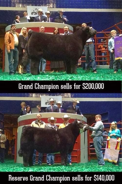 DIAMOND G CATTLE CO. Fort Worth Steer Show Sale of Champions