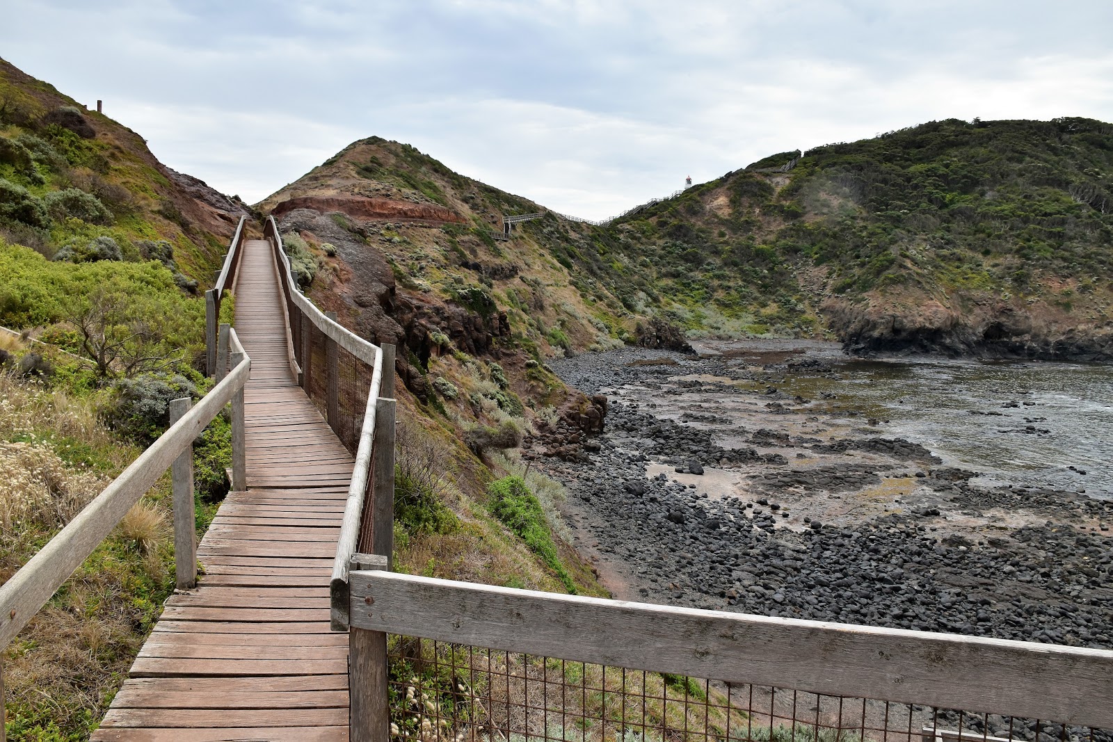 Goin' Feral One Day At A Time: Fingal Beach to Cape Schank Circuit ...