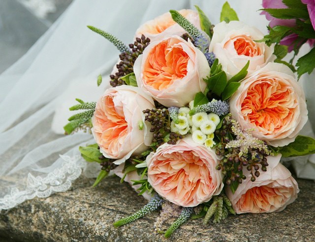 David Austin, una vida dedicada a las rosas - Guia de jardin