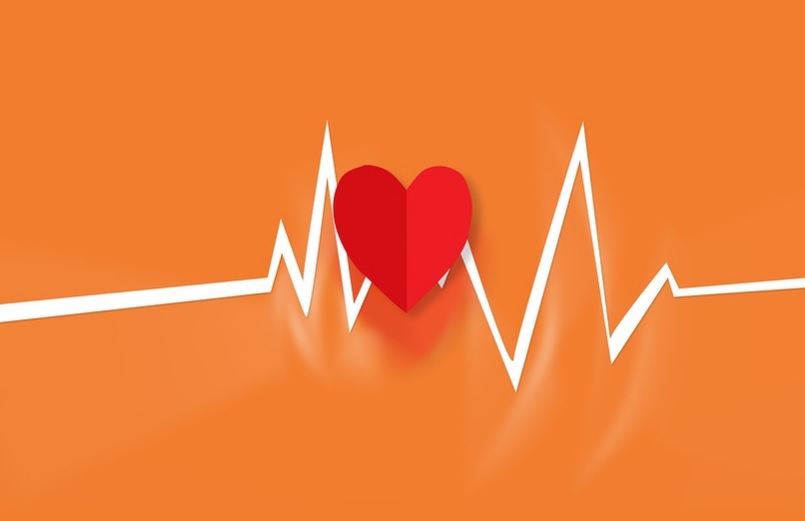 40+ Tren Contoh Poster Menjaga Kesehatan Organ Peredaran Darah