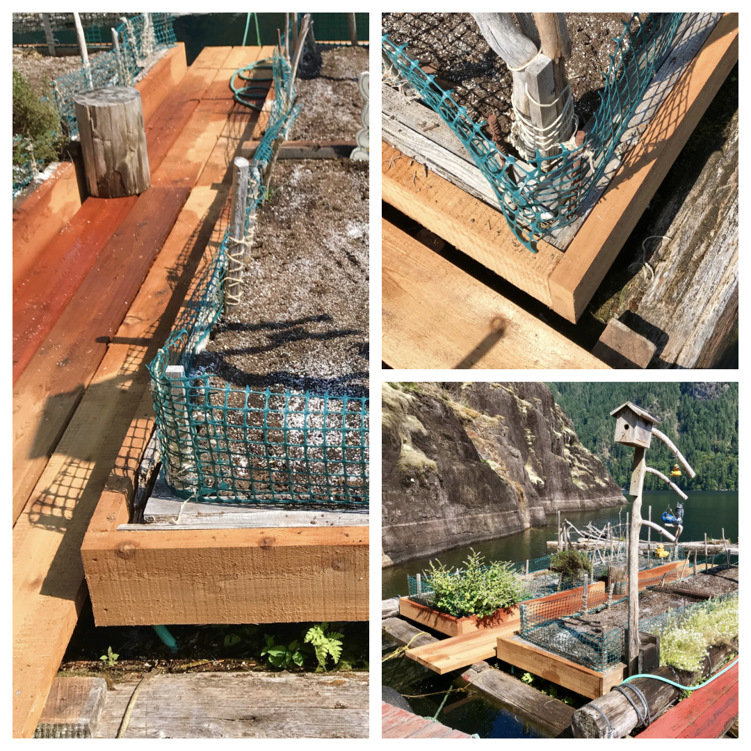 Powell River Books Blog Renewed Raised Bed Floating Garden
