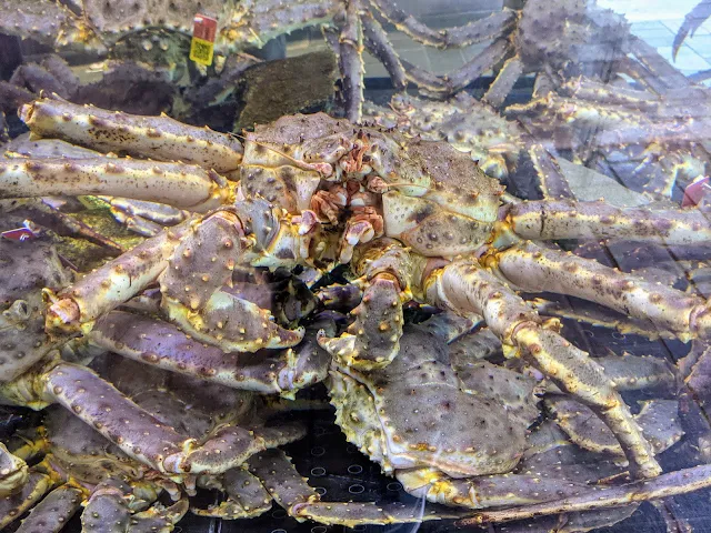 Giant crab at Fish Me in Bergen Norway