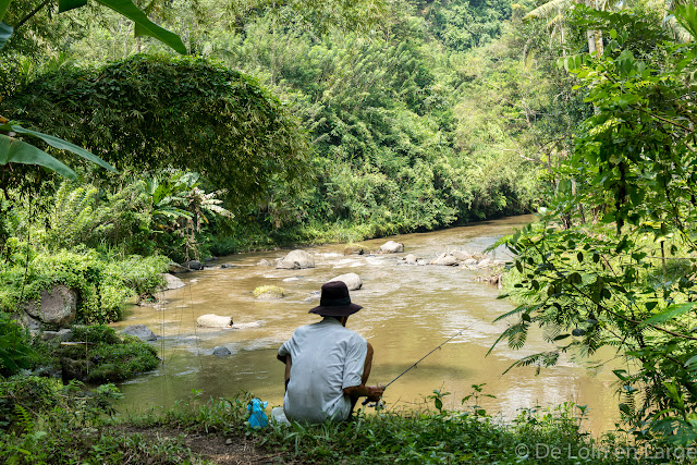 Vallée de la Sungaï Ayung - Ubud - Bali