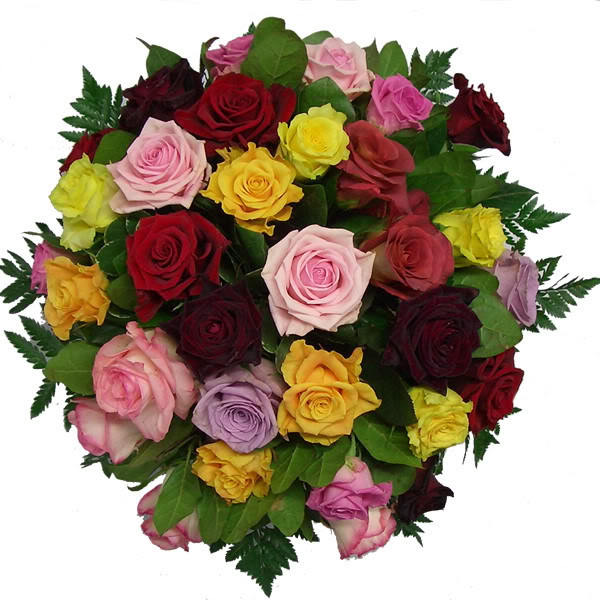  UN MENSAJE CELESTIAL