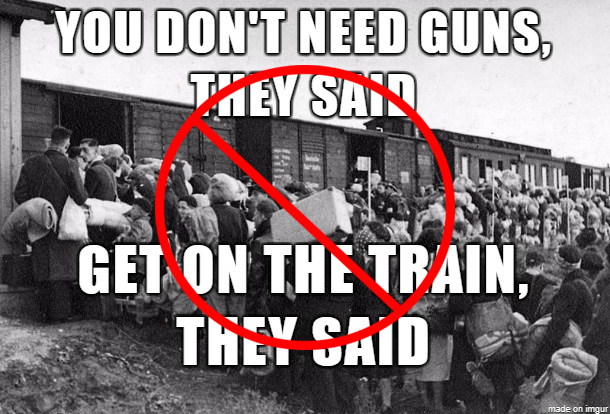 World Turn'd Upside Down A Tale of Two Viruses Historical Negationism