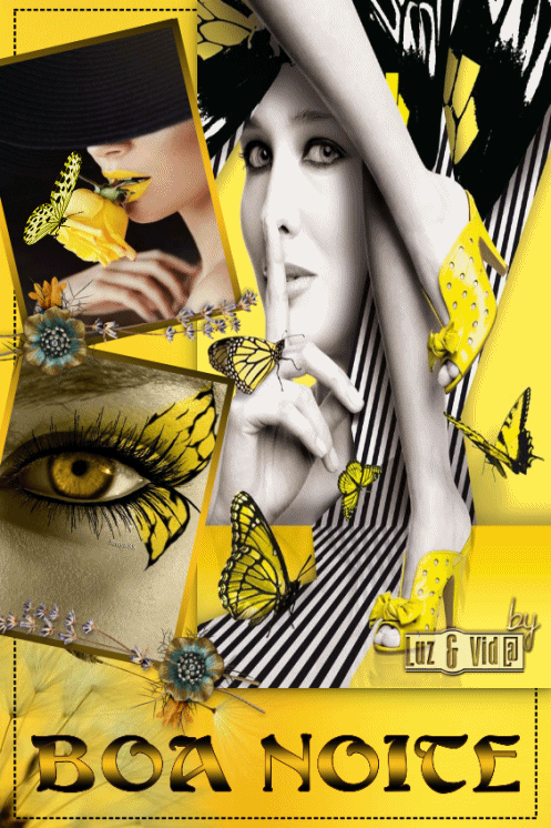 NOVO40-%2528MB%2529maryluz.gif