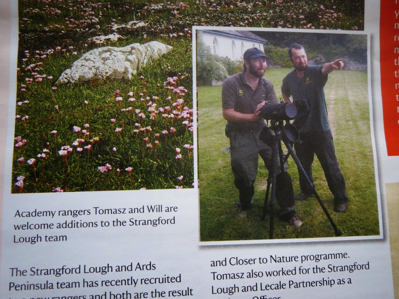 Lord Belmont in Northern Ireland Rangership Success