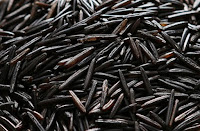 arroz salvaje arroz salvaje