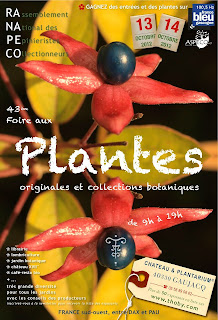 foire aux Plantes originales et collections botaniques les 13 et 14 octobre 2012