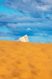 Dune reader