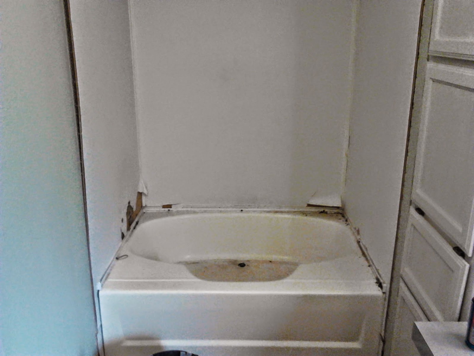 Best Buy Walk In Bath Tubs