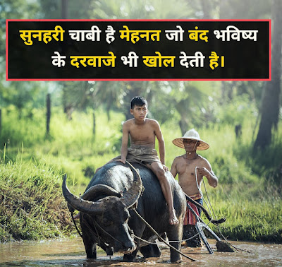 Mehnat Shayari Shayari On Mehnat