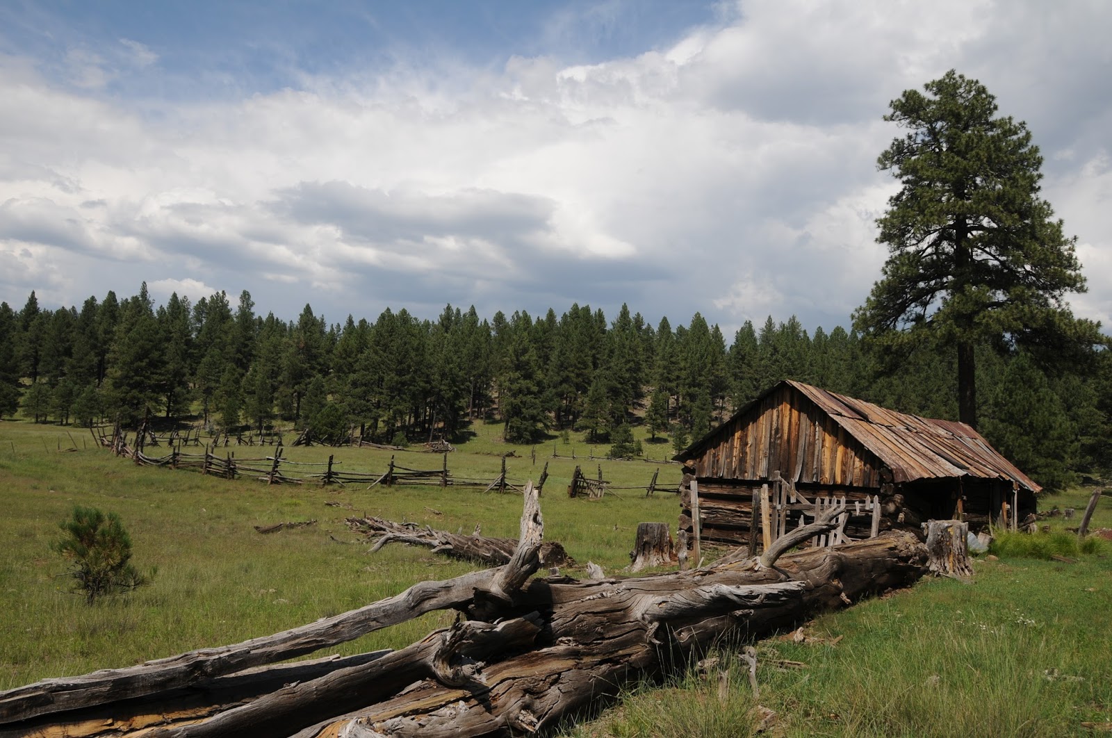 3br Cabin Vacation Rental In Williams Arizona 84194 Agreatertown