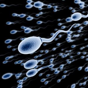 Matinya Sperma Bisa Karena Hal Ini [ www.BlogApaAja.com ]