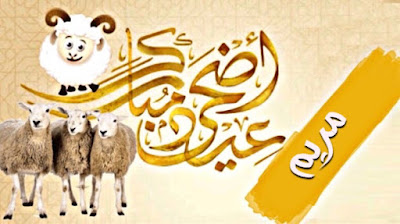 صور عيد الاضحى بالاسم لتهنئة اسمك على صور و بطاقة تهنئة بعيد الاضحى صور و بطاقات عيد الاضحى بإسمك أو اسم شخص عزيز عليك اجمل بطاقات تهنئة العيد الاضحى Aid El Kebir/Aid Al Adha باسمك ، اجمل صور العيد الاضحى باسمك ، بطاقات معايده باسمك تنزيل خلفيات العيد الاضحى بإسمك ، صور عيد الاضحى مكتوب عليها اسمك أو اسم شخص عزيز عليك ، تهاني عيد الاضحى المبارك بإسمك ، Photos Eid ul adha by name to congratulate ، صور عيد الاضحى بالاسم لتهنئة بطاقة تهنئة بعيد الاضحى تحمل اسمك أو اسم شخص عزيز عليك بارك لأصدقائك بالعيد من خلال بطاقة معايدة بِأَسْمَائِهِمْ صور عيد الاضحى بالاسم لتهنئة اسمك على صور و بطاقة تهنئة بعيد الاضحى صور و بطاقات عيد الاضحى بإسمك أو اسم شخص عزيز عليك اجمل بطاقات تهنئة العيد الاضحى Aid El Kebir/Aid Al Adha باسمك ، اجمل صور العيد الاضحى باسمك ، بطاقات معايده باسمك تنزيل خلفيات العيد الاضحى بإسمك ، صور عيد الاضحى مكتوب عليها اسمك أو اسم شخص عزيز عليك ، تهاني عيد الاضحى المبارك بإسمك ، Photos Eid ul adha by name to congratulate ، صور عيد الاضحى بالاسم لتهنئة بطاقة تهنئة بعيد الاضحى تحمل اسمك أو اسم شخص عزيز عليك بارك لأصدقائك بالعيد من خلال بطاقة معايدة بِأَسْمَائِهِمْ