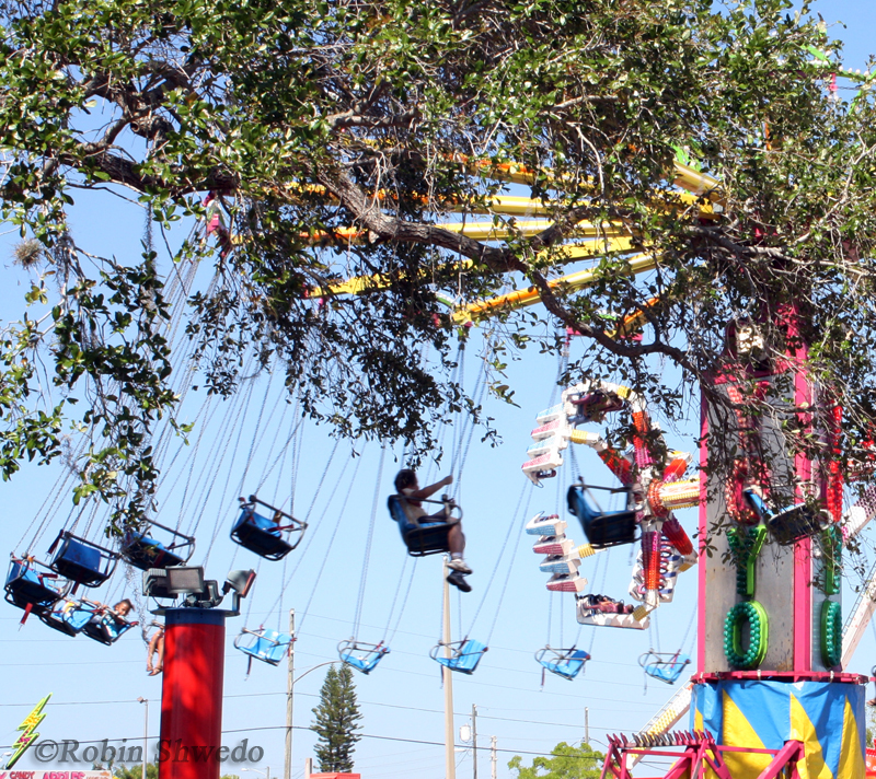 A Year (Or More) Of Photos Swings, Rides, County Fair