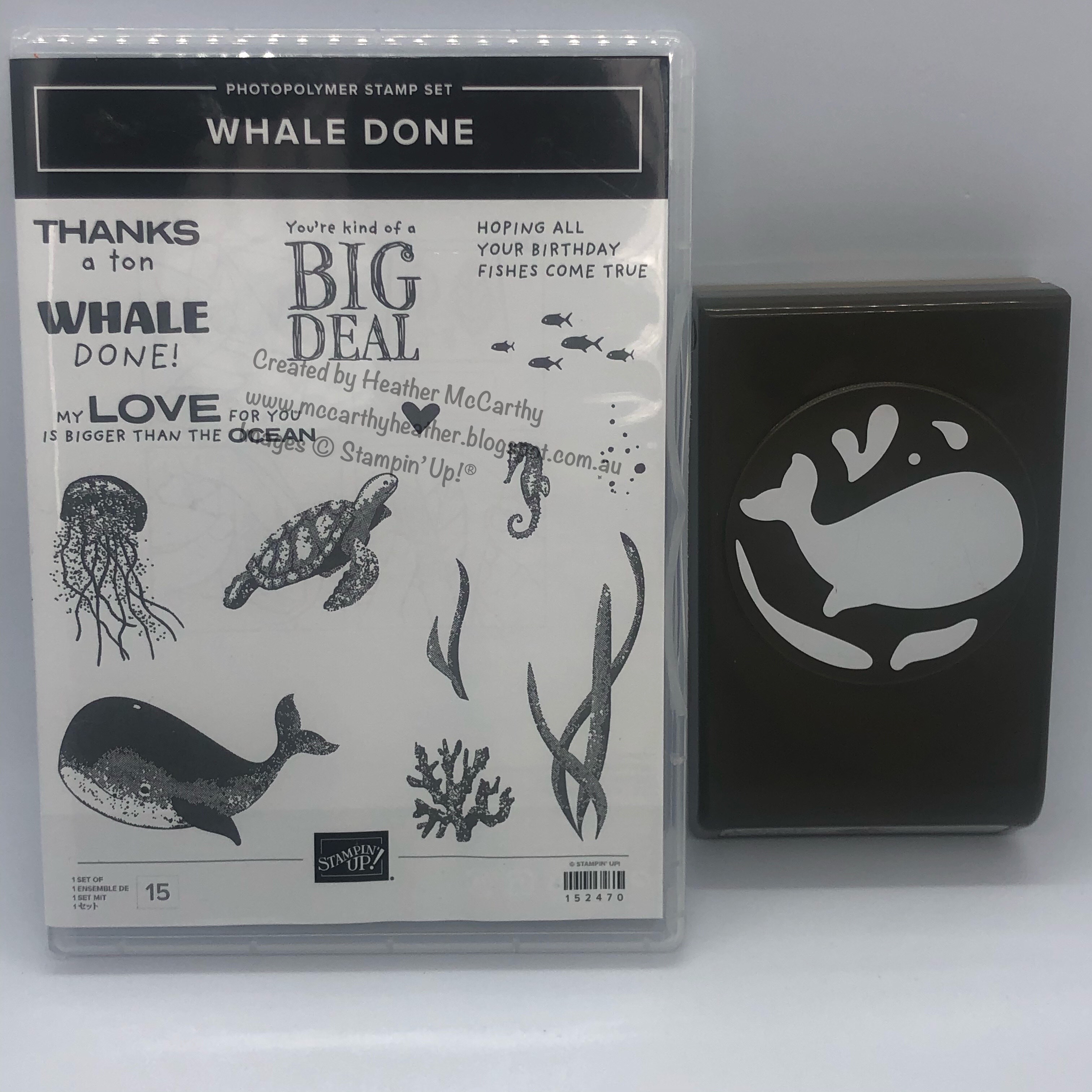 Whale done essay 08 picture