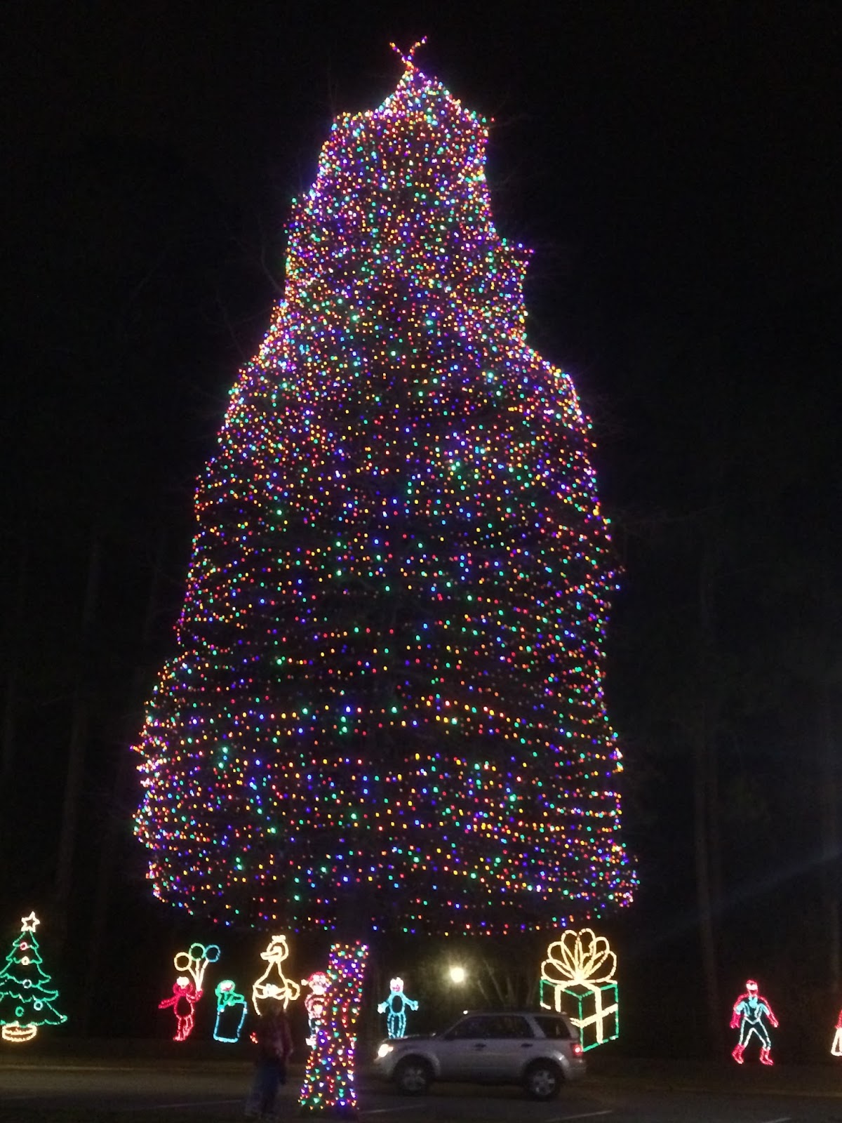 All Things Midlands {Around Town} Fantasy of Lights at Swan Lake Iris