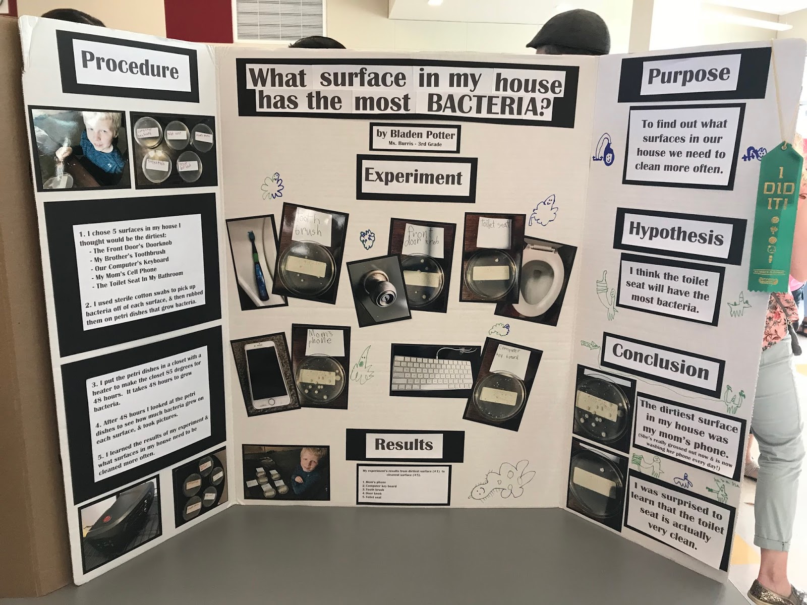 Welcome to the Krazy Kingdom: Bladen's Science Fair Project - 
