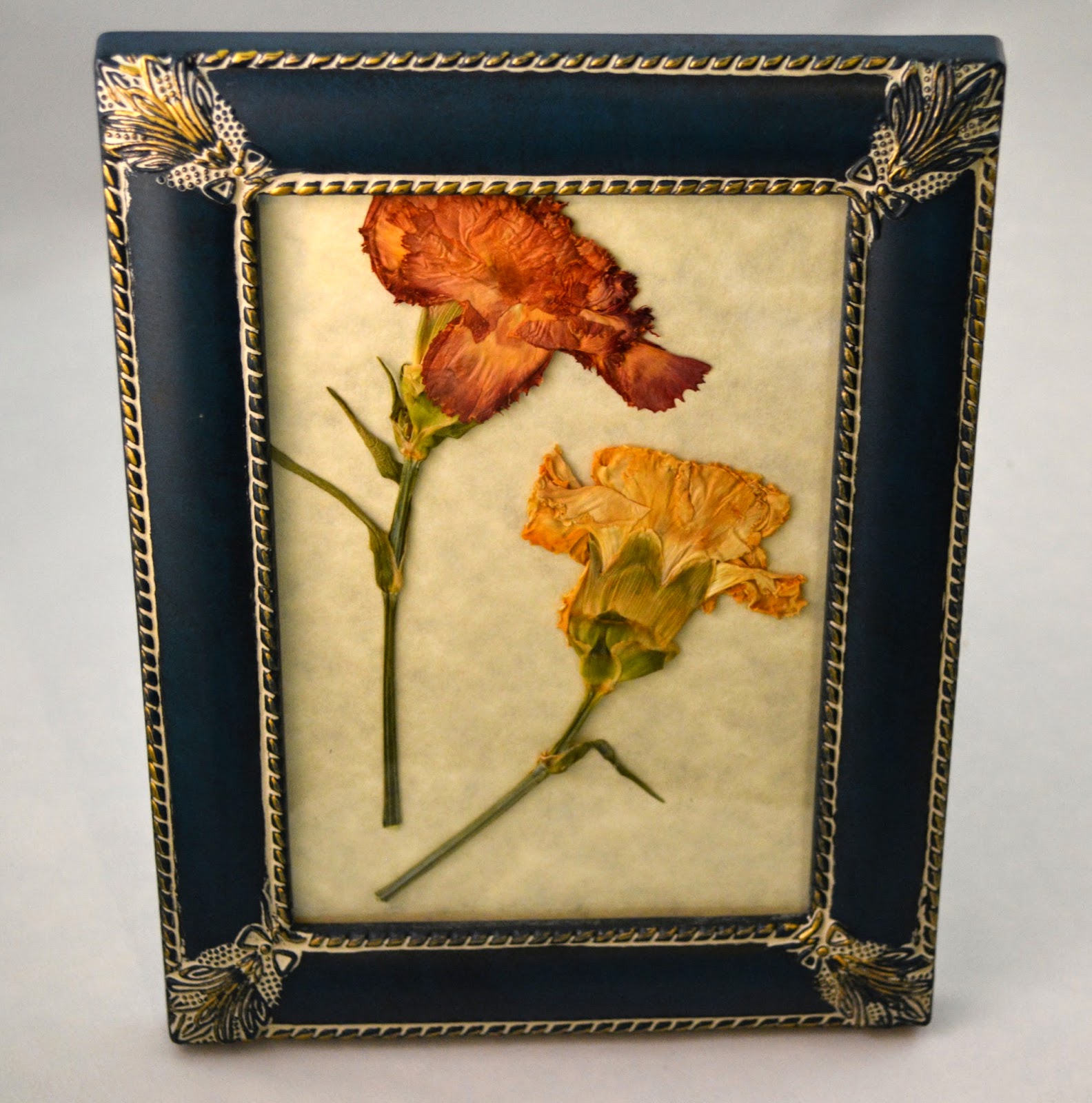 Regine Heilmann Pressed Flowers In Glass Frame Diy / Long Rectangle