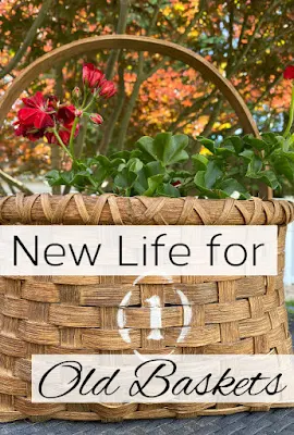 basket with geranium and number 1