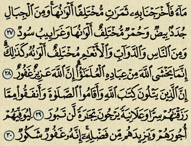 شرح وتفسير سورة فاطر ‏Surah Fatir (من الآية 27  إلى الآية 38 )
