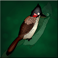 Bulbul Bird Escape Walkthrough