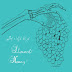 David Nance - Staunch Honey Music Album Reviews
