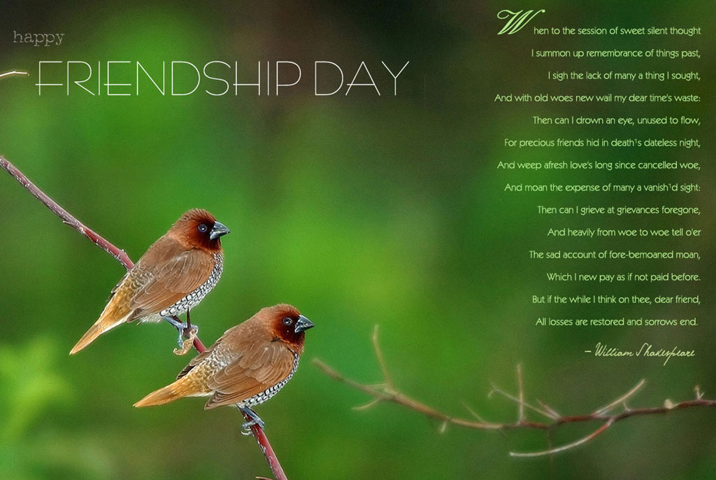 Download Friendship Day Wallpapers Messages