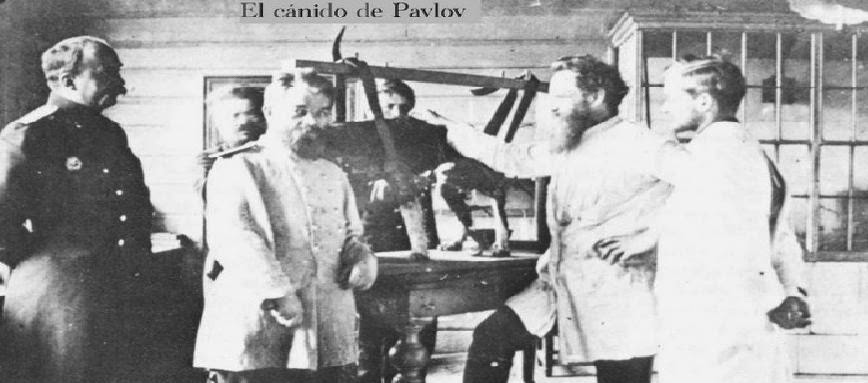 El cánido de Pavlov