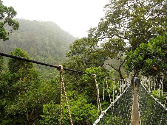 Taman Negara National park - AURADYA