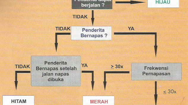 Pertolongan Korban Banyak Triage Manajemen K3 Umum