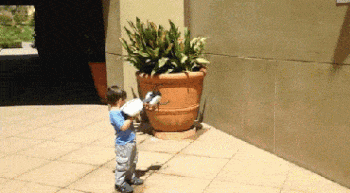 9.gif